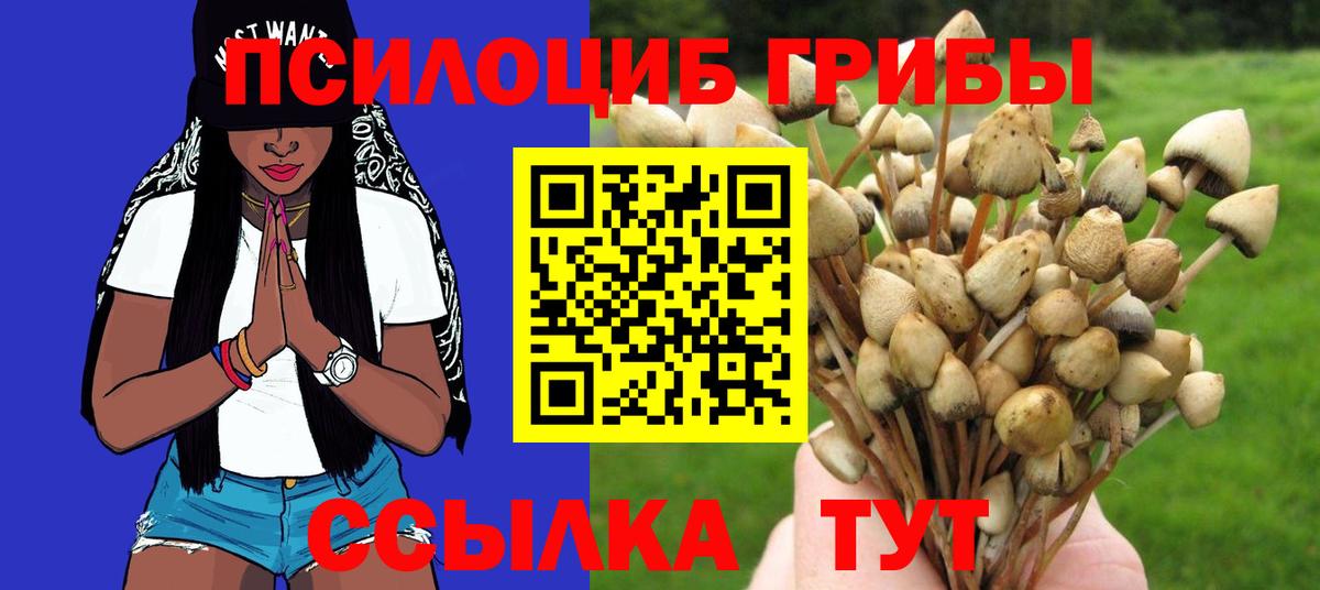 Псилоцибиновые грибы Magic Shrooms Лыткарино