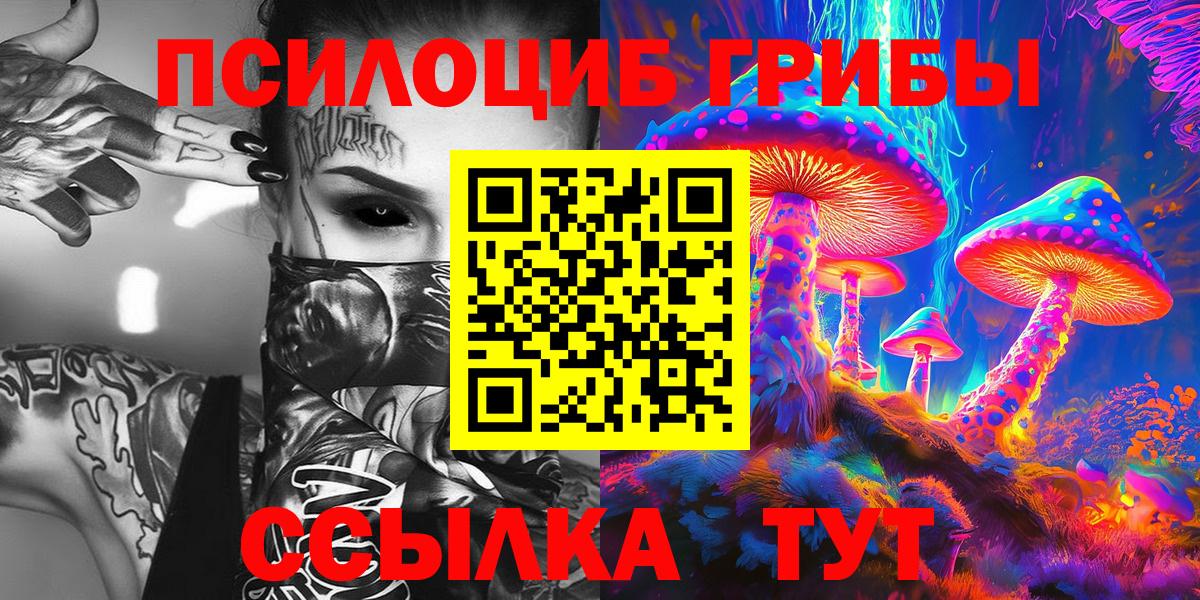 Лыткарино  Галлюциногенные грибы прущие грибы  Вход с VPN 
